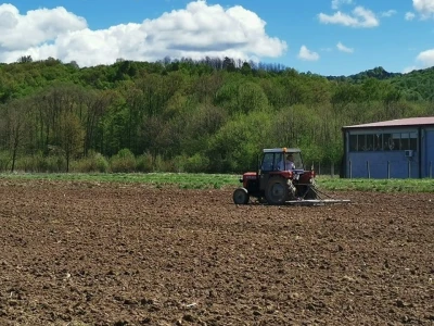 Kukuruz za silažu