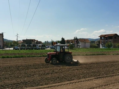 Kukuruz za silažu