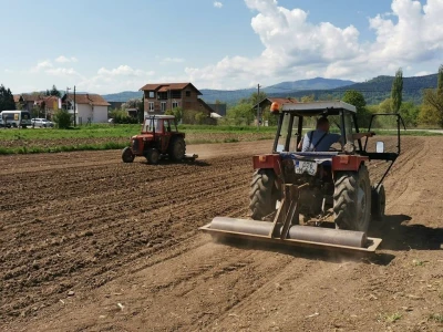 Kukuruz za silažu