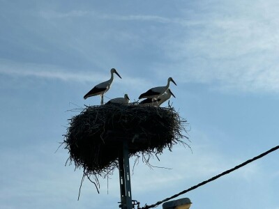 Kukuruzijada 2024. u Čepinskim Martincima Kukuruzijada 2024. u Čepinskim Martincima