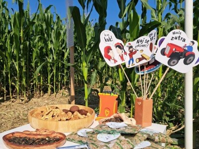 Kukuruzni labirint u Dubrovčaku Lijevom kod Ivanić-Grada