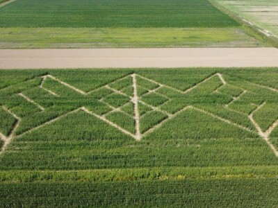 Kukuruzni labirint u Dubrovčaku Lijevom kod Ivanić-Grada