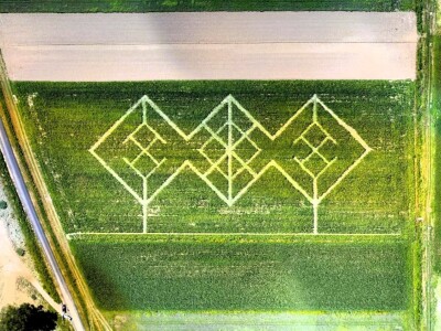 Kukuruzni labirint u Dubrovčaku Lijevom kod Ivanić-Grada