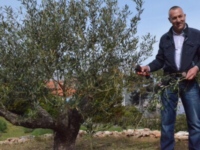 Festival Zlata oljčna vejica