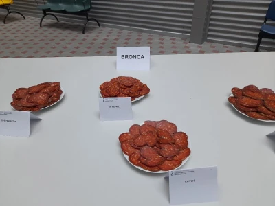Kulenijada FAZOS