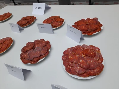 Kulenijada FAZOS