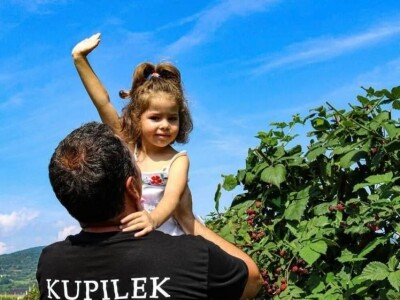 Kupilek-kupinovo vino iz Klanjca