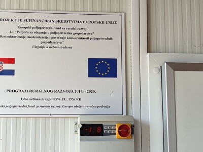 Kupilek-kupinovo vino iz Klanjca