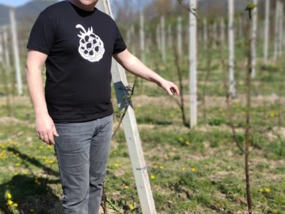 Kupilek-kupinovo vino iz Klanjca