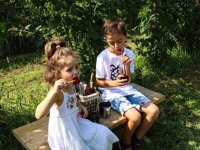 Kupilek-kupinovo vino iz Klanjca