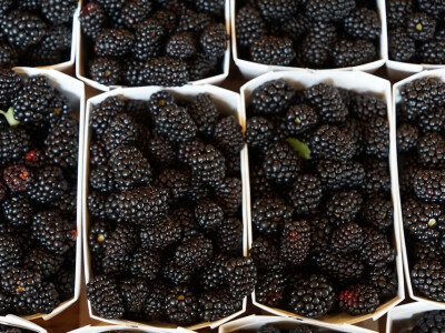 Svježe voće prodaju na Kvatriću Svježe voće prodaju na Kvatriću