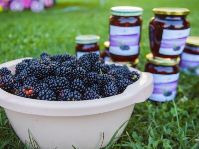 Kupinovo vino mladog Miroslava