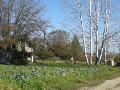 Organska proizvodnja, porodica Šokšić iz Taraša