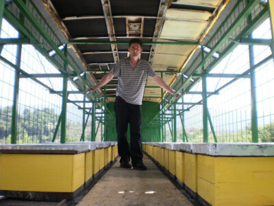 Unutrašnjost pčelarskog kontejnera