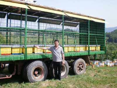 Seljenjem do većih prinosa meda