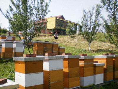 Hoće li ove godine bolje mediti?