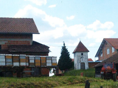 OPG Pčelarstvo Kurić