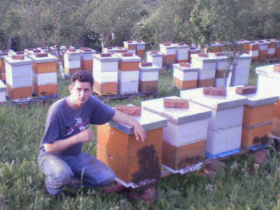 Mijo u jednom od obiteljskih pčelinjaka