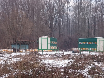 Pčelinjak u Pivarama