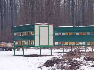 OPG Pčelarstvo Kurić