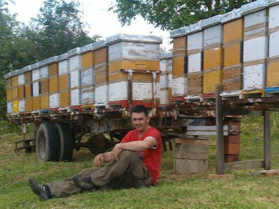 Predah u pčelinjaku uz zujanje pčela