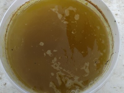 Kurkuma i prašak za pecivo u borbi protiv plamenjače