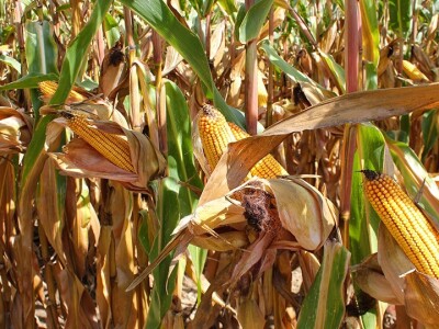 Bc Institut slavi 125 godina djelovanja