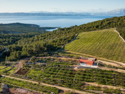 Kušaonica maslinovih ulja Seca Eva Marija