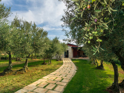 Kušaonica ulja Monte Formento Kušaonica ulja Monte Formento