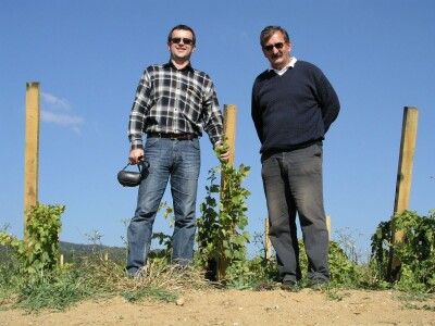 VINSKE SORTE - Proizvođače najboljih Graševina ne zovu na Vina od Davnina!?