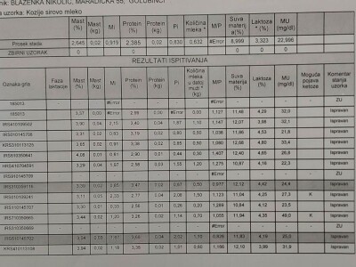 Kvalitet kozjeg sira i raznovrsnost je ono što izdvaja od konkurencije