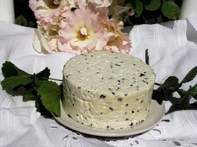 Kvalitet kozjeg sira i raznovrsnost je ono što izdvaja od konkurencije