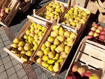 Kvalitet kupcima, opstanak voćarima