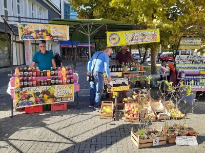 Kvalitet kupcima, opstanak voćarima