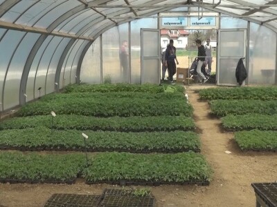 Kvalitet rasade najvažniji