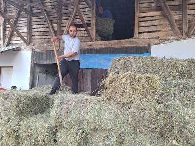 Kvalitet sena - prvi otkos lucerke i travnih smeša