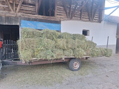 Kvalitet sena - prvi otkos lucerke i travnih smeša