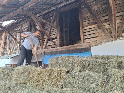 Kvalitet sena - prvi otkos lucerke i travnih smeša