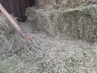 Kvalitet sena - prvi otkos lucerke i travnih smeša