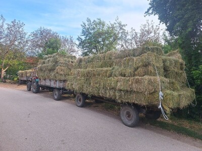 Kvalitet sena - prvi otkos lucerke i travnih smeša
