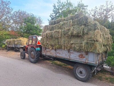 Kvalitet sena - prvi otkos lucerke i travnih smeša