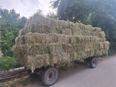 Kvalitet sena - prvi otkos lucerke i travnih smeša