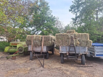 Kvalitet sena - prvi otkos lucerke i travnih smeša