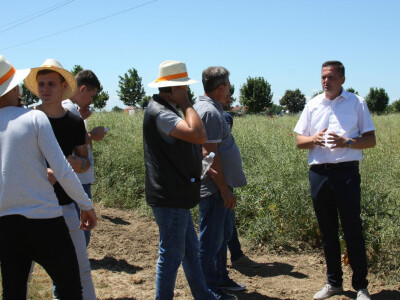 KWS Centralni Dan polja