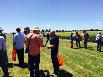 KWS Centralni Dan polja