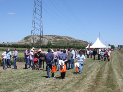 KWS Centralni Dan polja