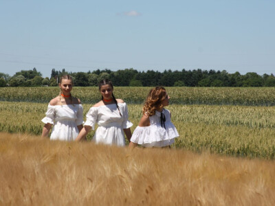 KWS Centralni Dan polja