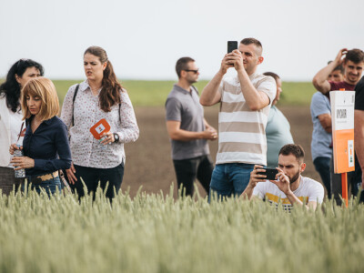 Centralni Dan polja i proslava 20 godina KWS-a