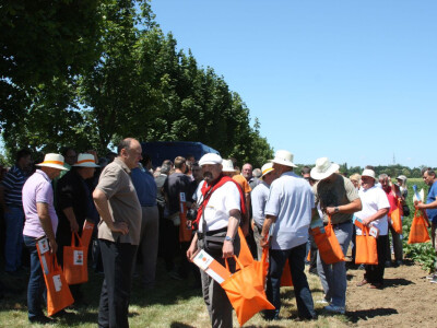 KWS Centralni Dan polja