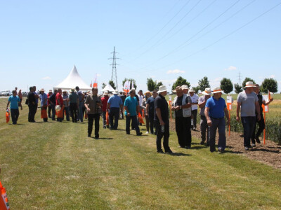 KWS Centralni Dan polja